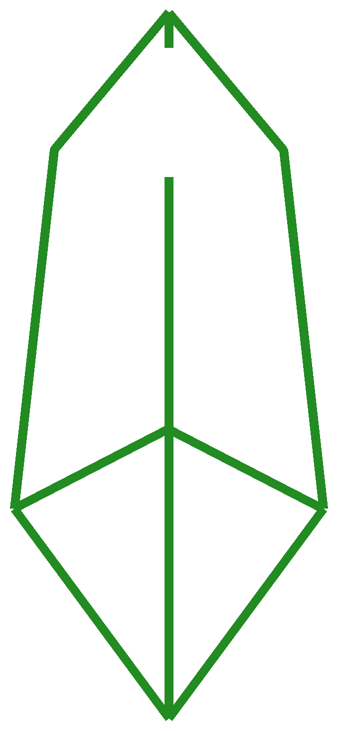Chrysalis